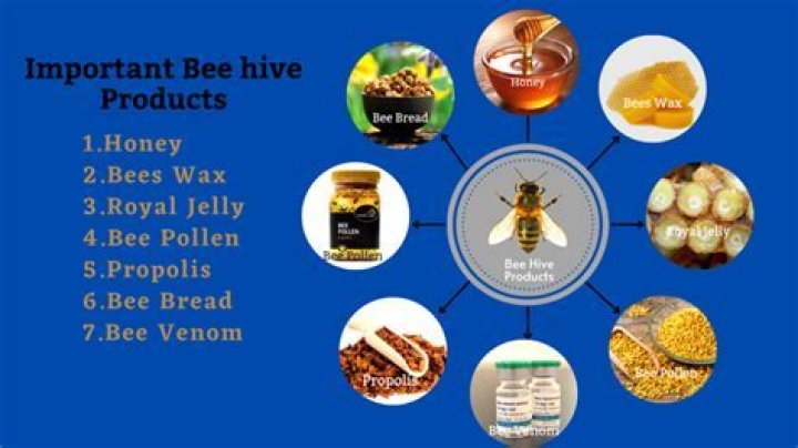 Which type of honey bee is produced parthenogenetically?