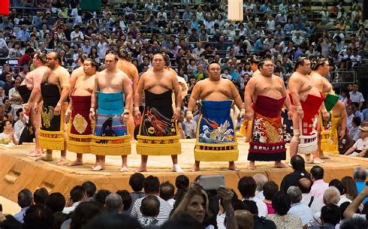 Who are sumo wrestlers?