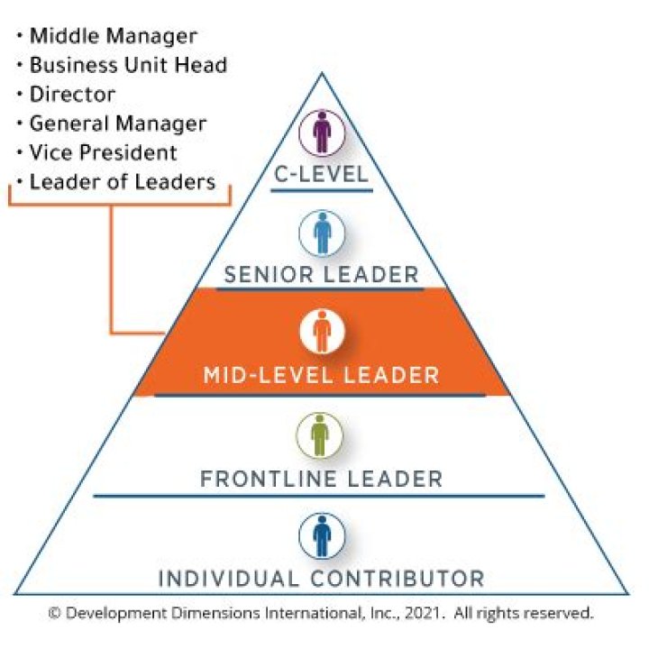 Who are top level managers?