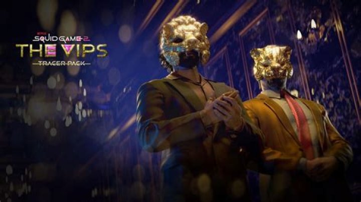Who are vips in india?