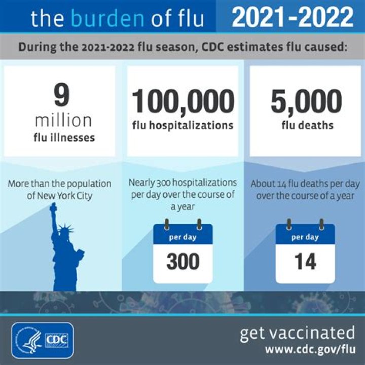 Who burden of disease definition?