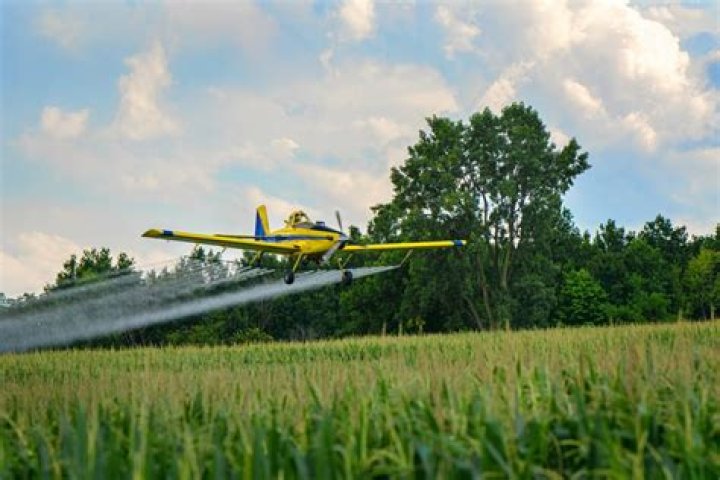 Who came up with crop dusting?