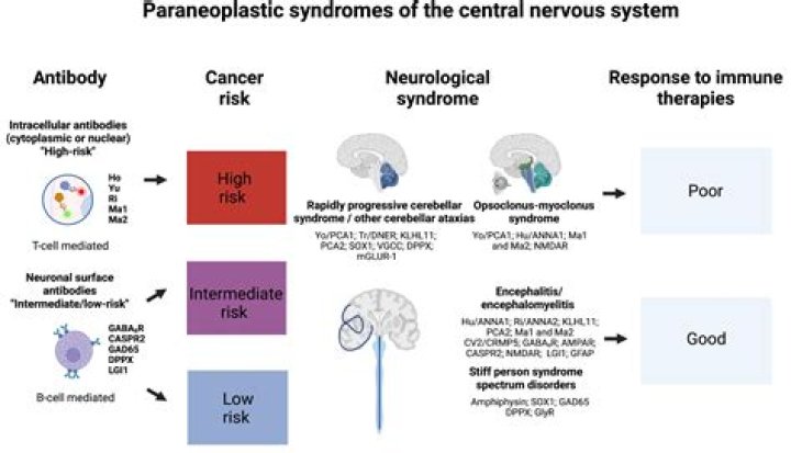 Who coined the term pinocytosis?