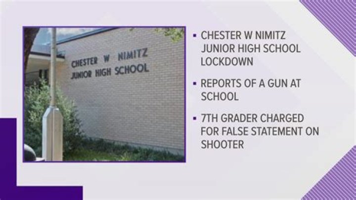Who did nimitz report to?