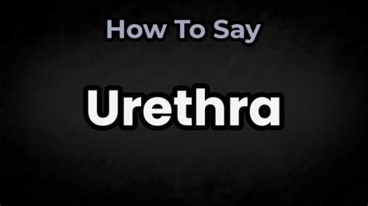 Who do you pronounce urethra?