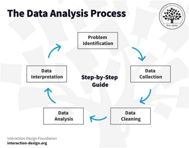 Who is a data analysis?
