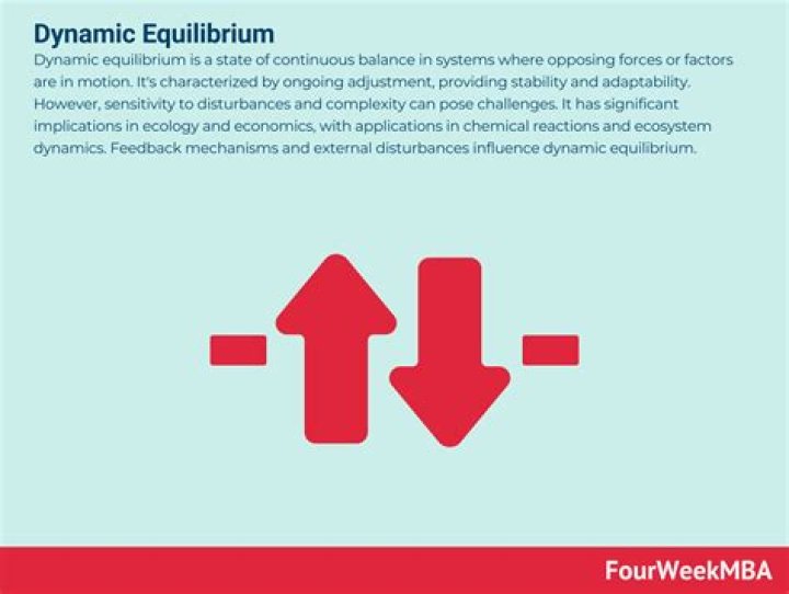 Who is dynamic equilibrium?