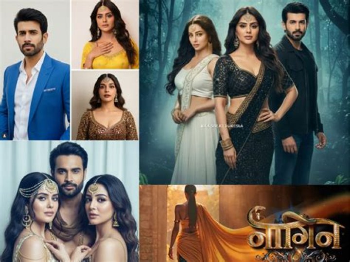 Who is hukum in naagin 3?
