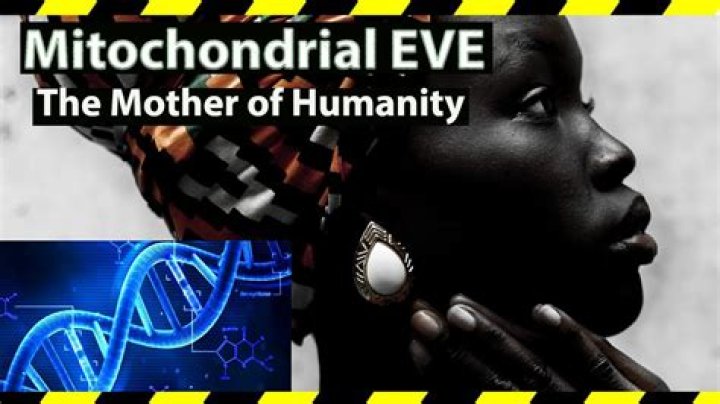 Who is mitochondrial eve?