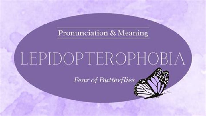 Who to pronounce lepidopterophobia?