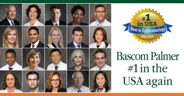 Who was bascom palmer?