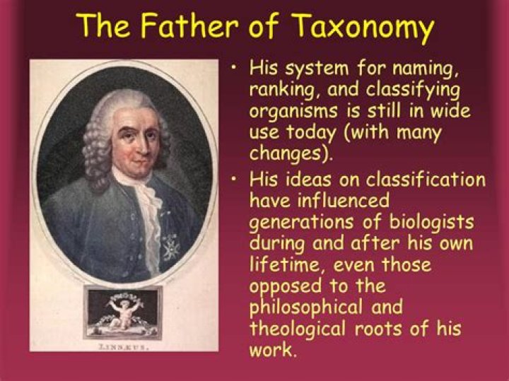 Whos the father of taxonomy?