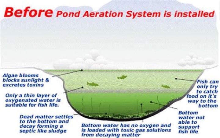 Why aerate a pond?