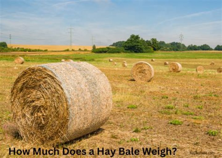 Why are bales of hay round?