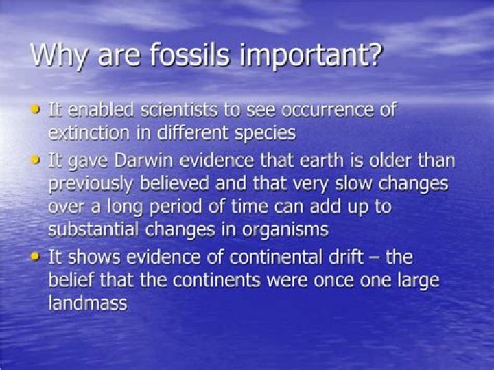 Why are fossils are important?