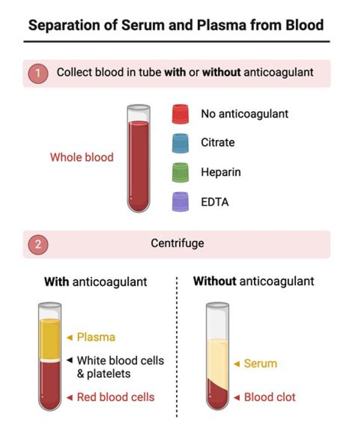Why are half cells separated?