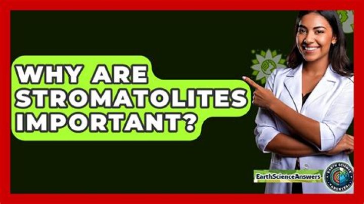 Why are stromatolites important?