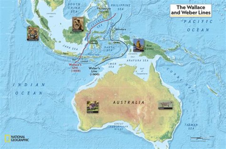 Why are there no positrons?