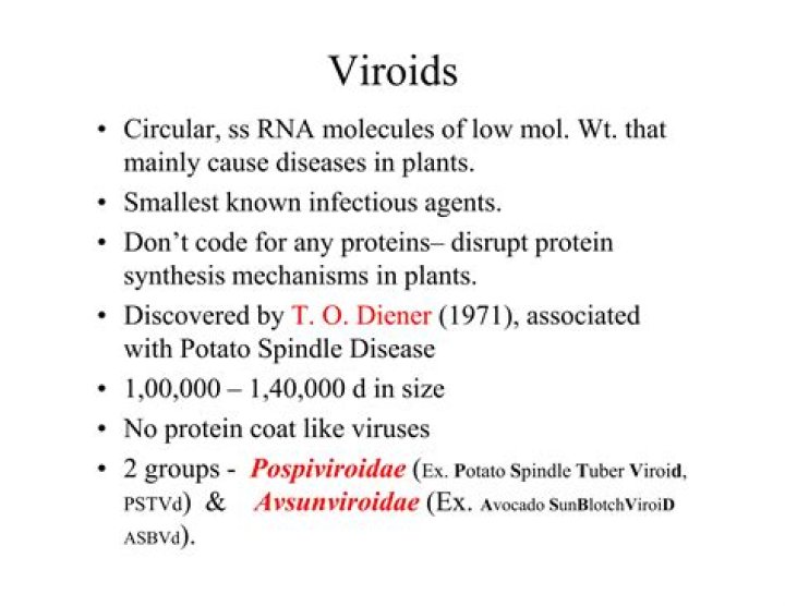 Why are viroids significant?