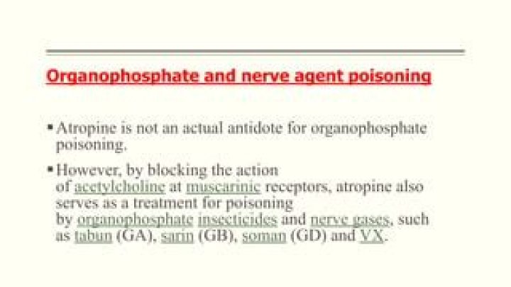 Why atropine for organophosphate poisoning?
