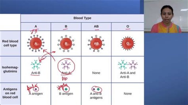 Why blood type o coronavirus?