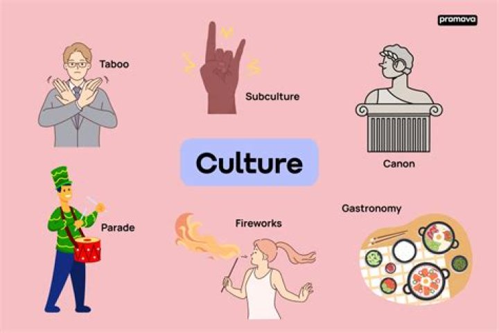 Why culture is learned?