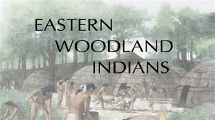 Why did eastern woodlands build palisades?