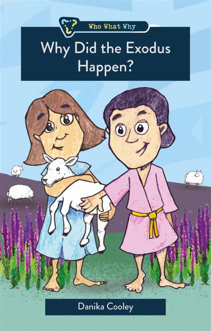 Why did entebbe happen?