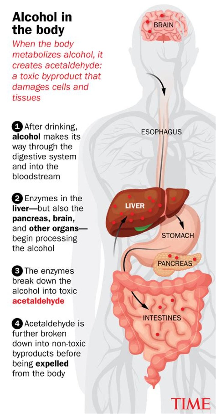 Why do extracts have alcohol?
