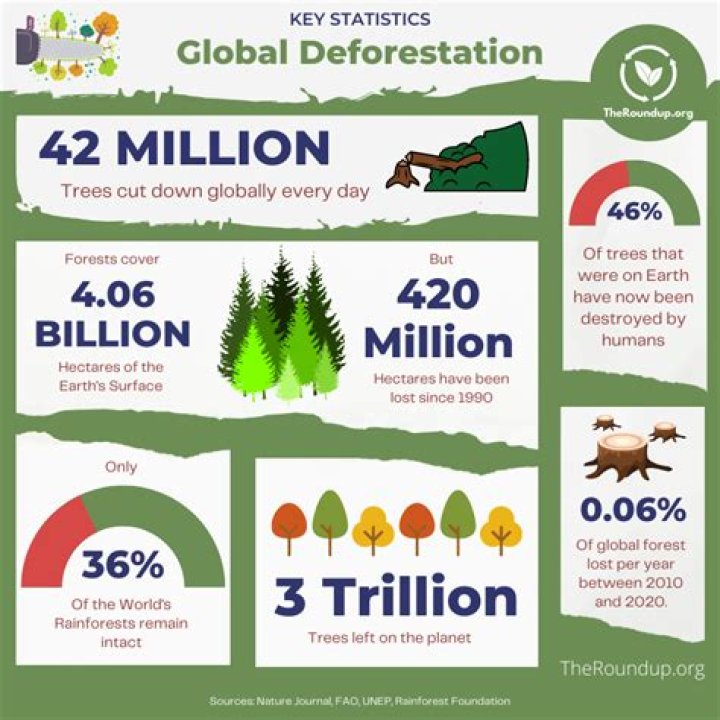 Why do we clear forests?