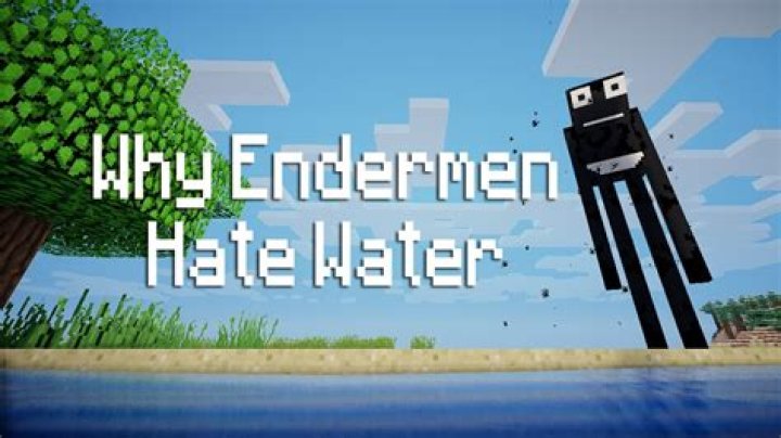 Why endermen hate water?