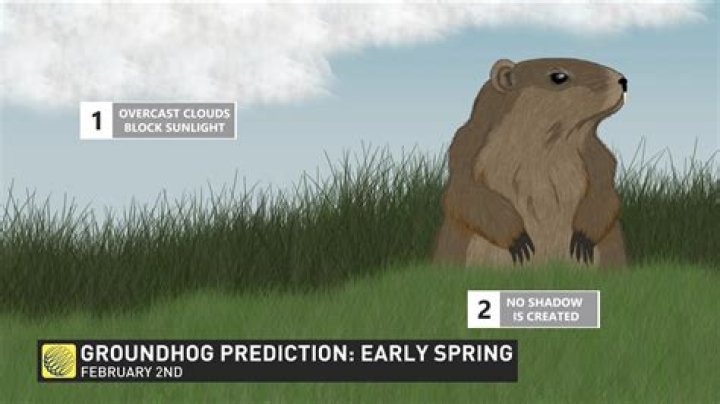 Why groundhog's supposedly predict the weather?