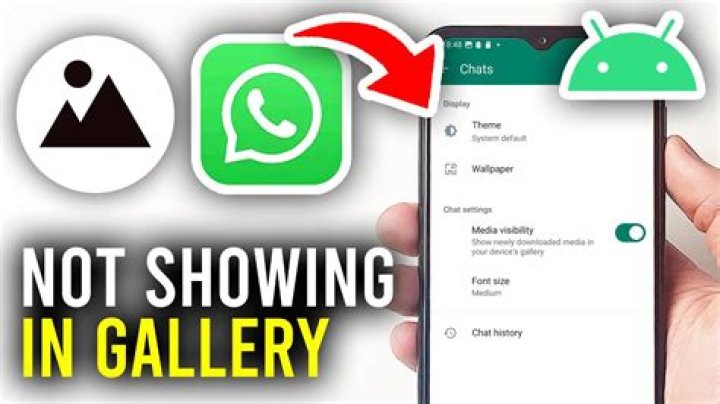Why images from whatsapp not showing in gallery?