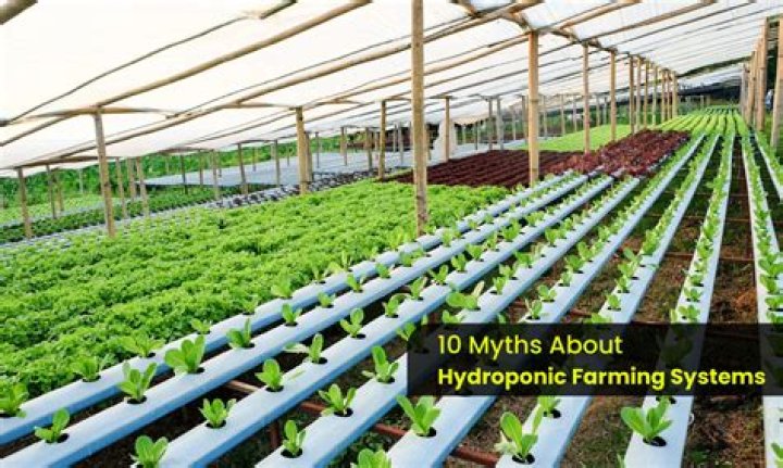 Why is hydroponic system?