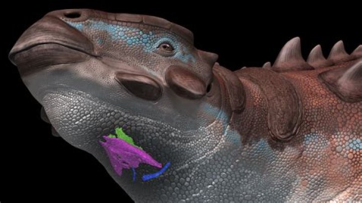 Why is it called a durry?