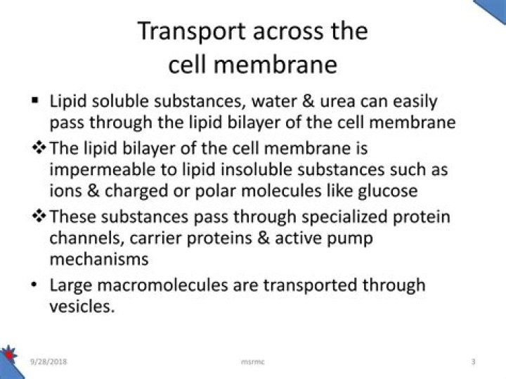Why is membrane sidedness an important concept in cell biology?
