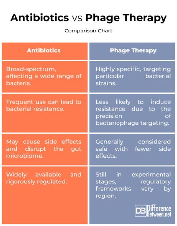 Why is phage therapy better than antibiotics?
