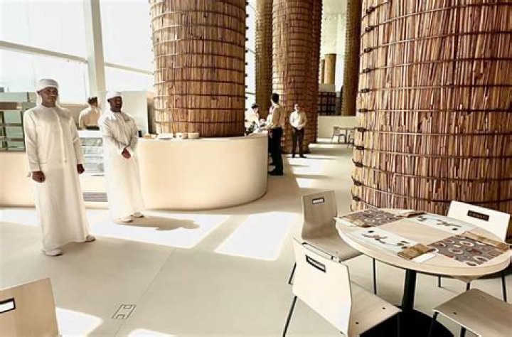 Why is uae attempting expo 2020?