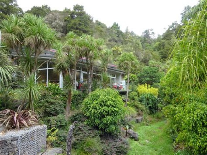Why live in whangarei?