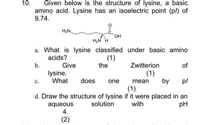 Why lysine is basic?