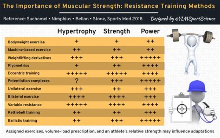 Why muscular strength is important?