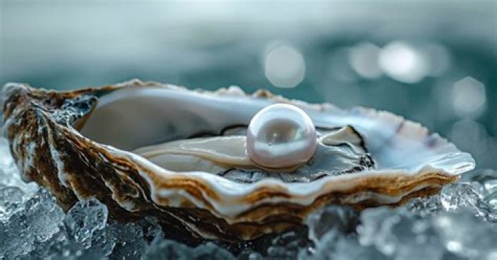 Why oysters have pearls?