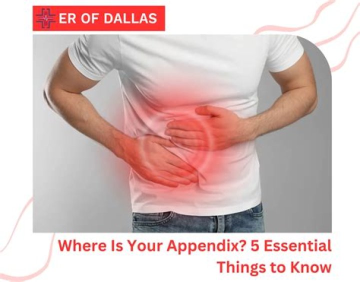 Why side is your appendix on?