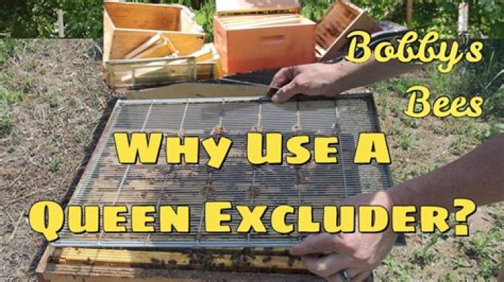 Why use queen excluder?