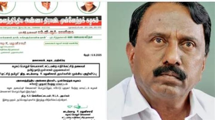 Why was sasikala expelled from aiadmk?