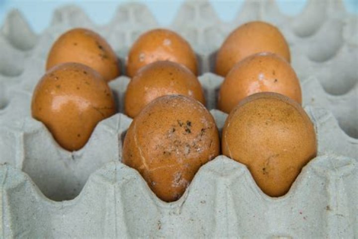 Why well water smells like rotten eggs?