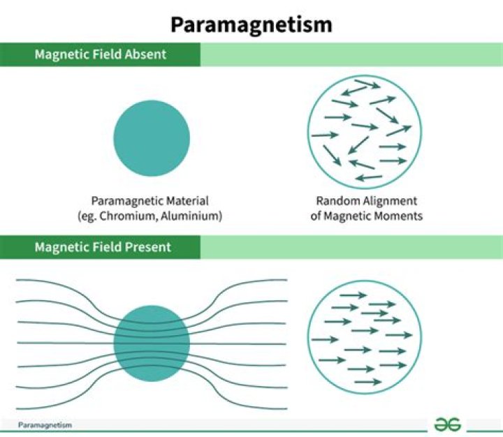 Why zn+2 is diamagnetic where as mn+2 is paramagnetic?