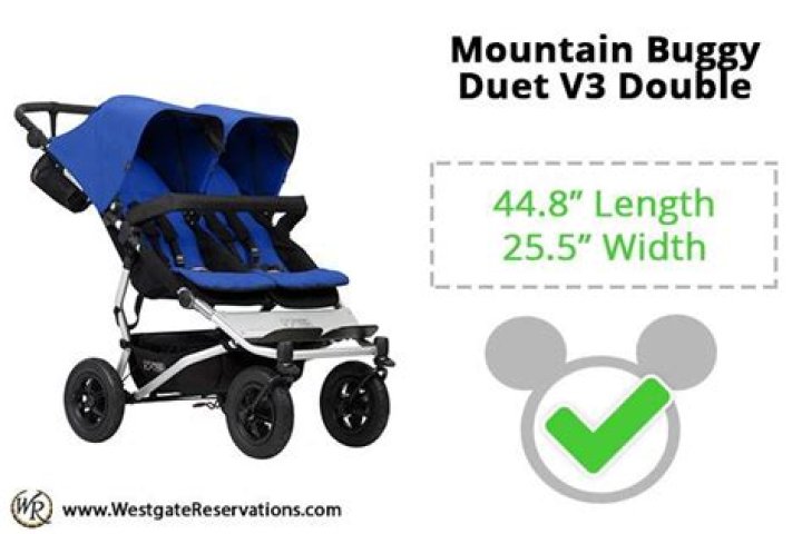 Will a mountain buggy duet fit in boot?