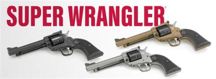 Will a ruger wrangler shoot 22 shorts?