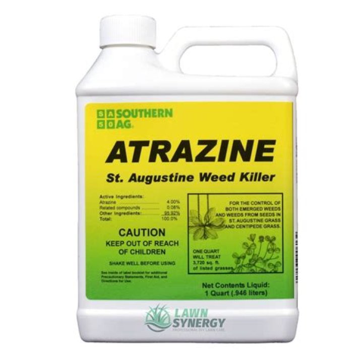 Will atrazine kill pigweeds?